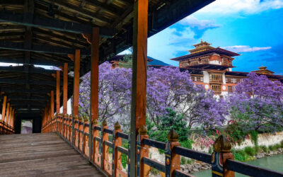 Just a Few Reasons Why We Chose Bhutan